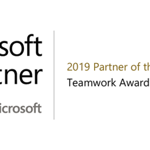 partner of the year 2019